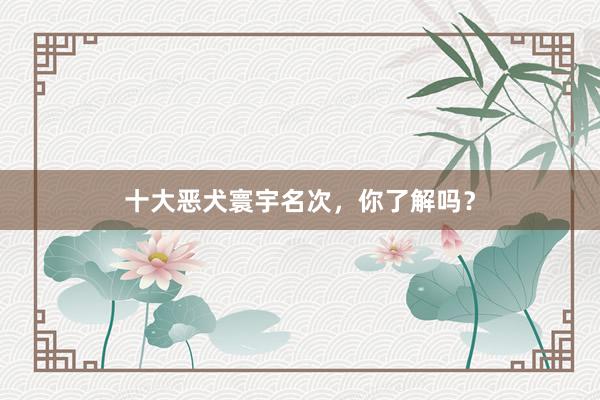 十大恶犬寰宇名次，你了解吗？